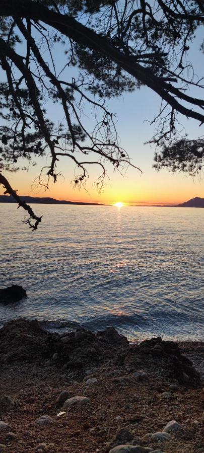 Rooms Lucky Makarska Dış mekan fotoğraf