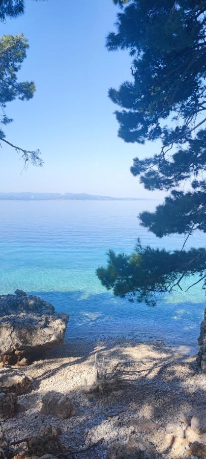 Rooms Lucky Makarska Dış mekan fotoğraf